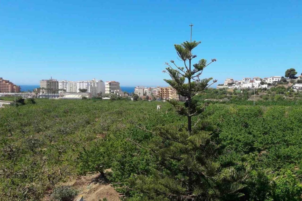 Apartamento Costa Del Sol Almuñécar Buitenkant foto